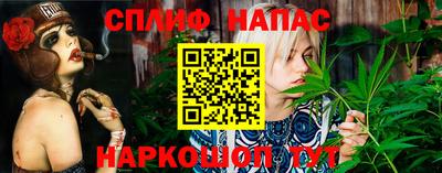 индика Донецк