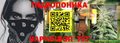 индика Донецк