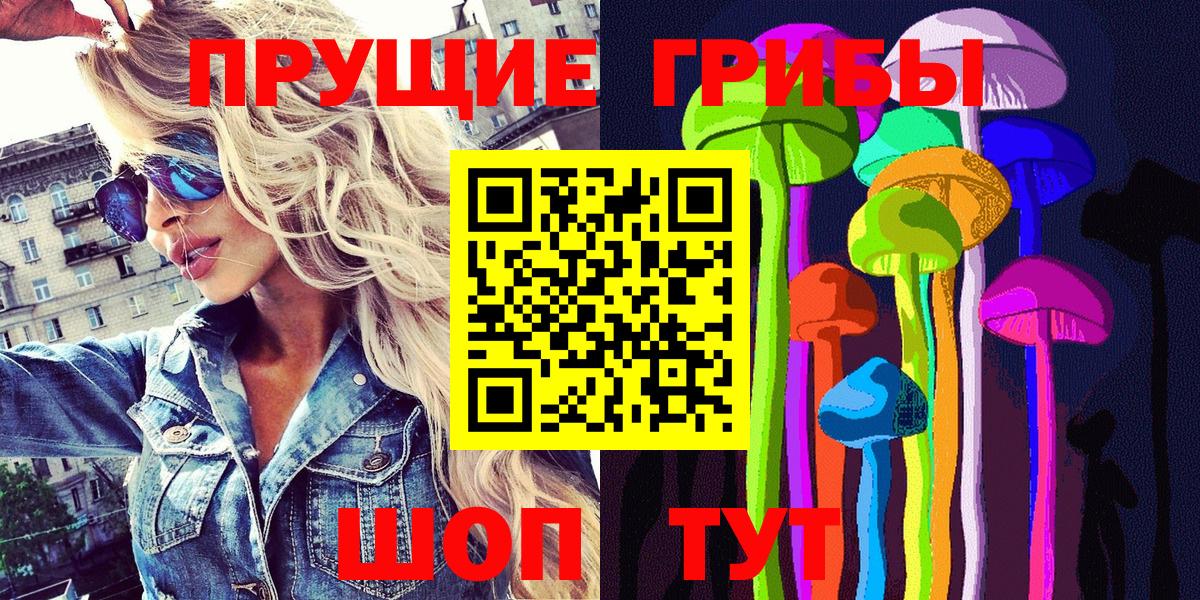 Дзержинск  Галлюциногенные грибы Psilocybe  Вход с VPN 