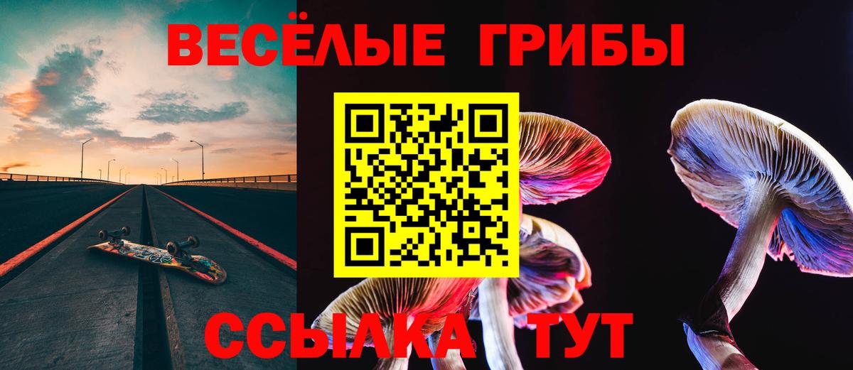 Галлюциногенные грибы MAGIC MUSHROOMS Дзержинск